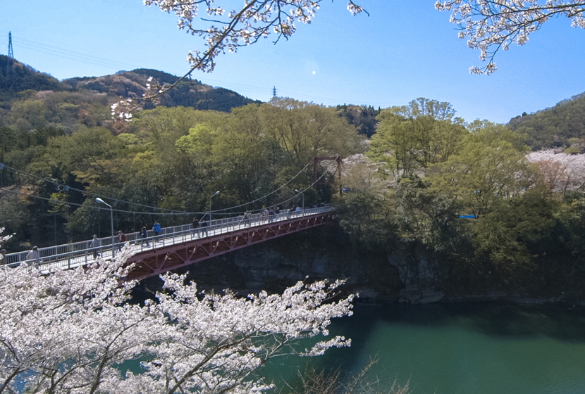 桜淵 さくらぶち 新城市のホテル 旅館 宿泊予約は新城観光ホテル 奥三河の宿 桜淵 さくらぶち 新城市のホテル 旅館 宿泊予約は新城観光ホテル 奥三河の宿