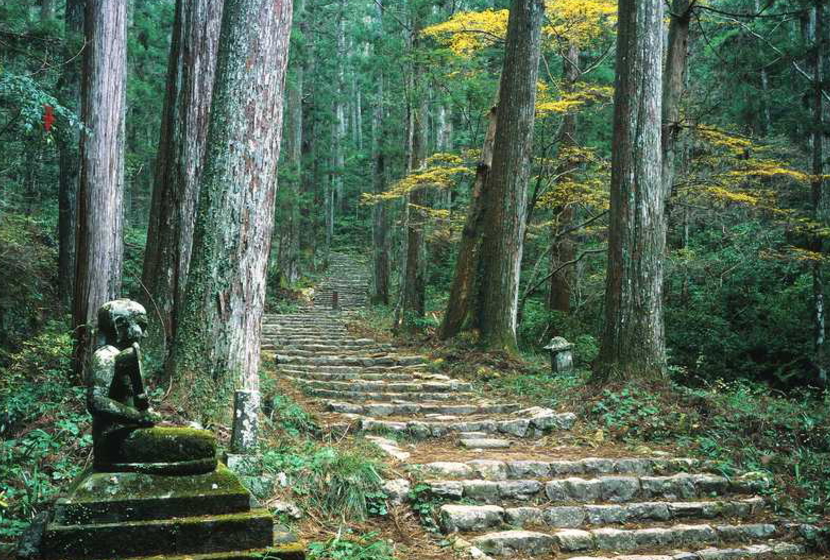 鳳来寺山 ほうらいじさん 新城市のホテル 旅館 宿泊予約は新城観光ホテル 奥三河の宿